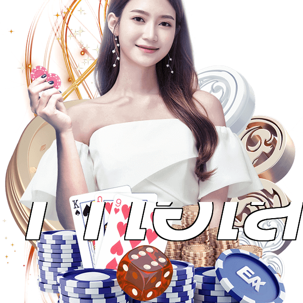 11ไฮโล